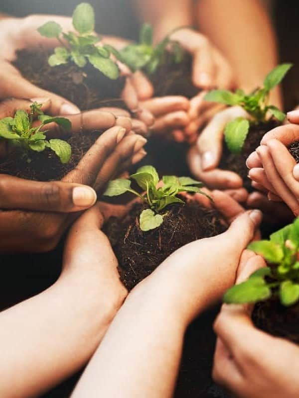 A group of hands tenderly cradle young plants with….jpg