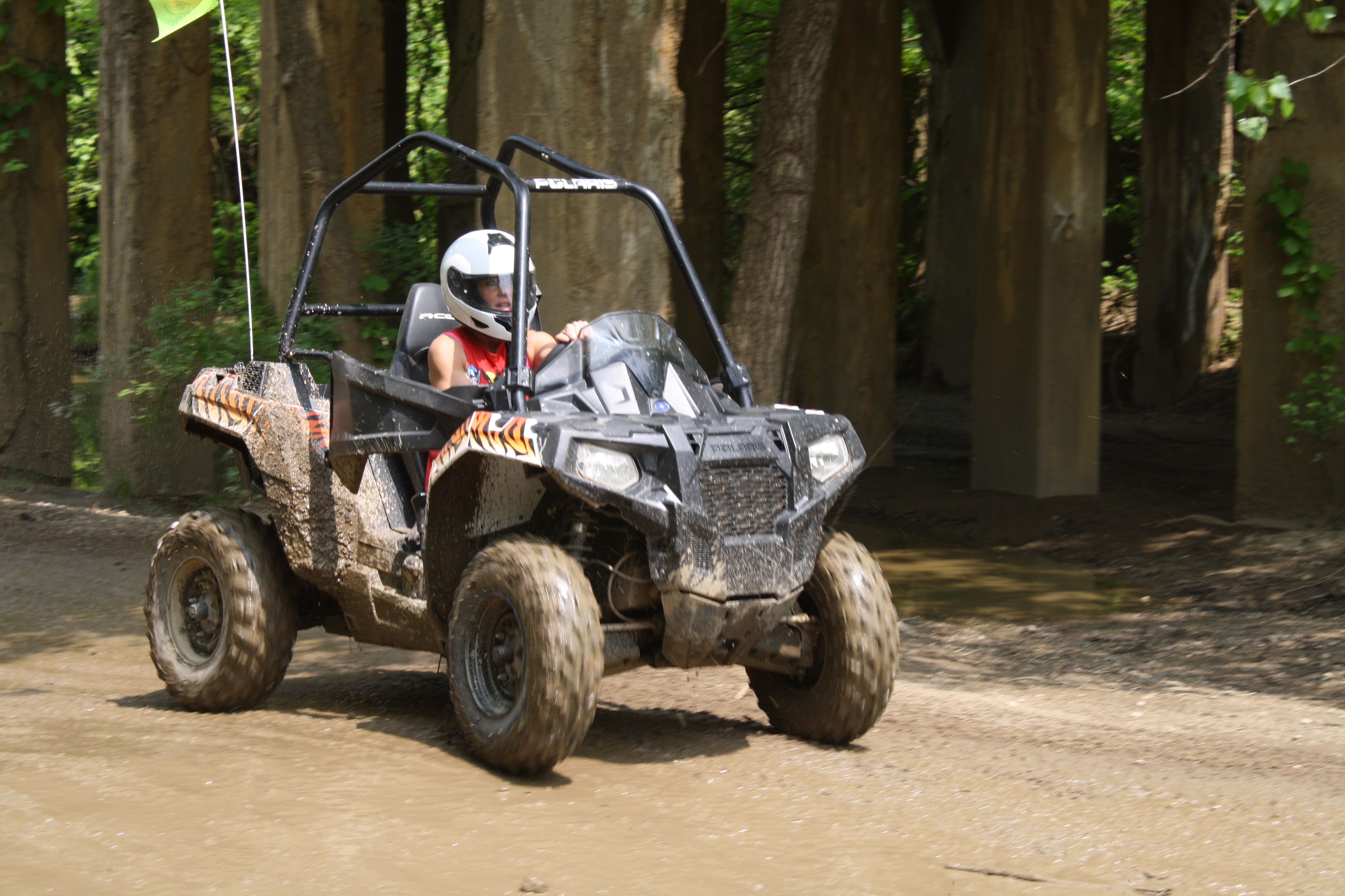 Ace Rental 3