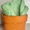 Thumbnail: Succulent Planter Coaster Set (4)