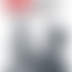 The Penguin Lessons (2024)