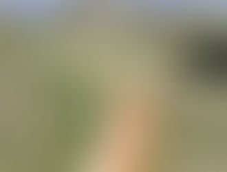 Cemetery Upkeep: Roads