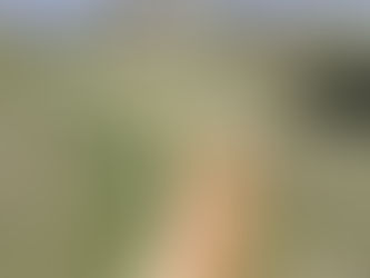 Cemetery Upkeep: Roads