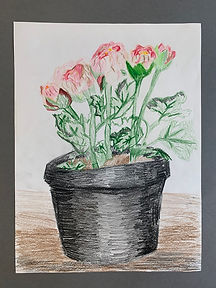 color pencil flower pot.jpeg