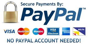 secure-paypal-payments.png