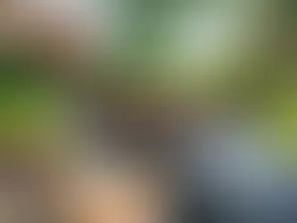 10 Tips to Maximize Your Outdoor Space with an Outdoor Grill