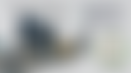 The Integrated Power Plant: A Strategic Blueprint for Resilience, Compliance, and Longevity