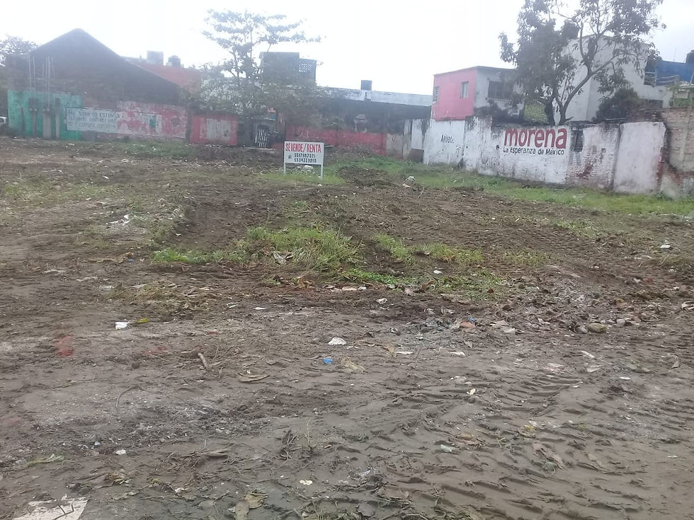Terreno En Renta en Veracruz