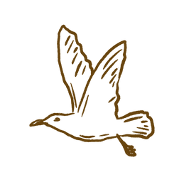 11.png