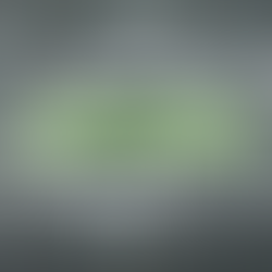 Coaching Under Pressure