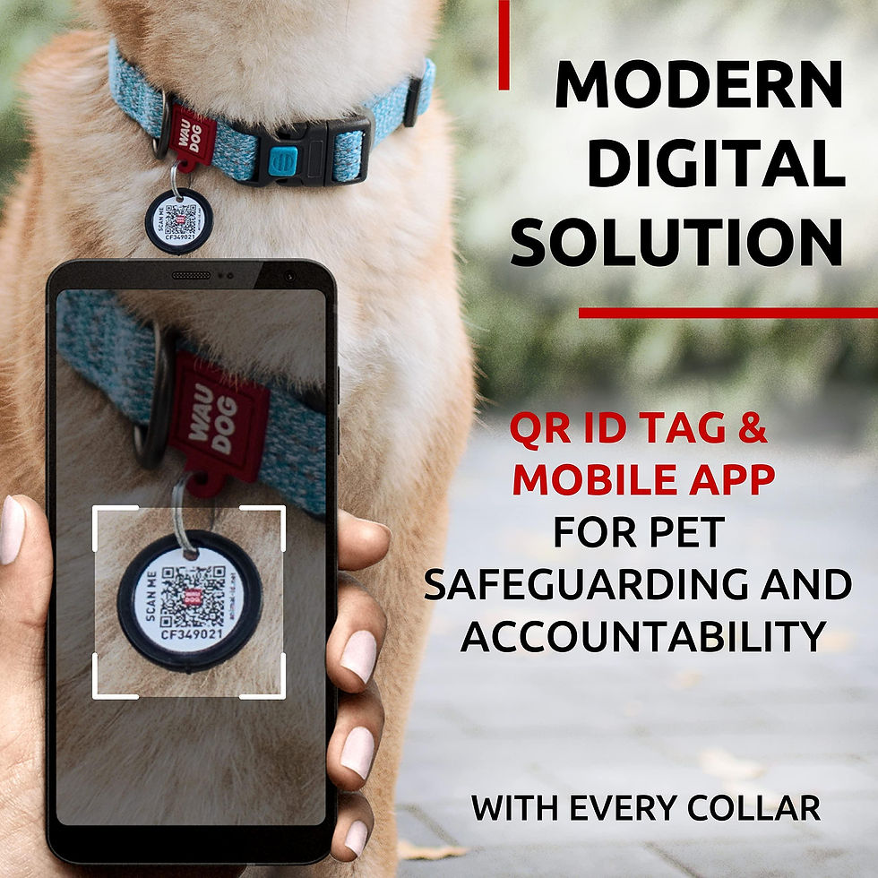 Thumbnail: Blue Reflective Cotton Dog Collar Eco Friendly for Medium Dogs 1016 inch Neck