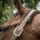 Thumbnail: Back on Track Haze Headcollar