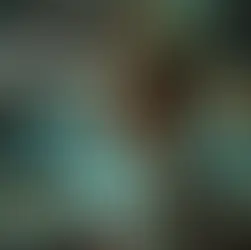 Praca w Holandii 2025 – wciąż się opłaca czy już nie? Sprawdź zanim wyjedziesz.