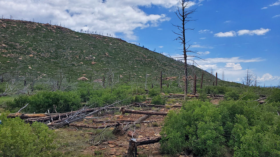 Our destination at the top of that mesa.