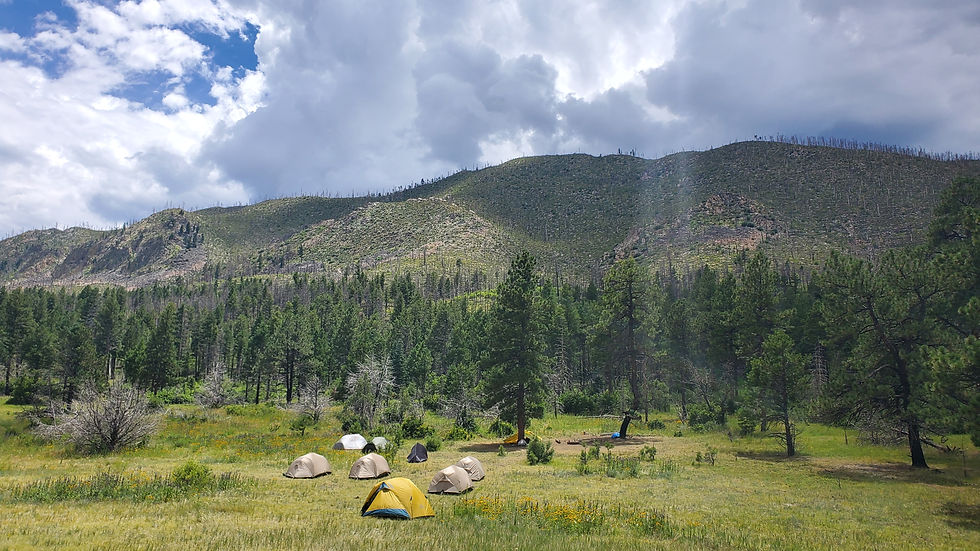 Minnette Meadows, where you can see fire damage all around, but not here!