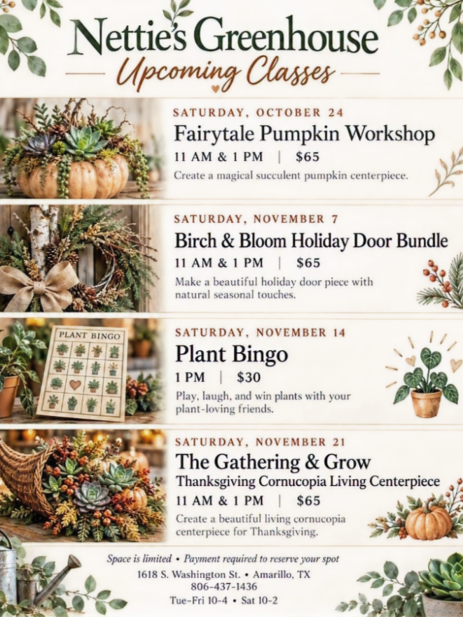 October November classes_edited_edited.png
