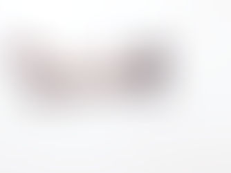 Mantén su Área de Descanso Limpia: Claves para un Espacio Seguro y Libre de Insectos para tu Gato