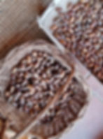 La récolte des glands