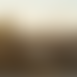 "Cologne skyline with the iconic Cologne Cathedral and Rhine river in the background."