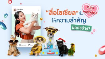 สื่อโซเชียลที่กลุ่มคนรักสัตว์ให้ความสำคัญ มีอะไรบ้าง