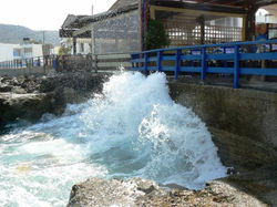 18. SEASIDE TAVERN