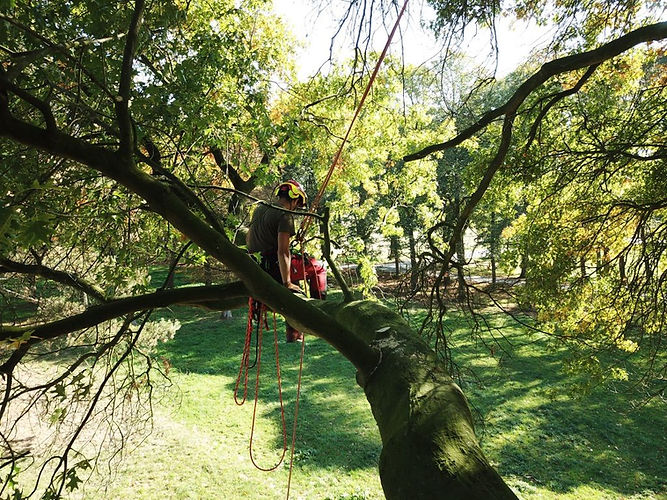 WhatsApp Image 2025-05-27 at 15.26.09 (1).jpeg