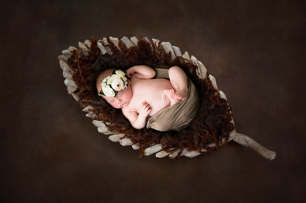 KN Newborn-6425 Leaf copy