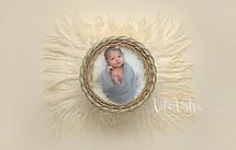 newborn photography cheltenham