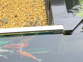 Lago Graal japonês- BR116- São Paulo