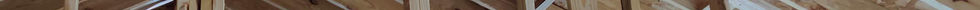 GettyImages-1190411433_edit 1.jpg