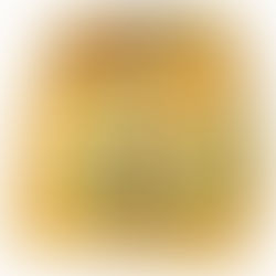 Bauducco® apresenta lançamentos de Natal de 2025 no Salão do Panetone