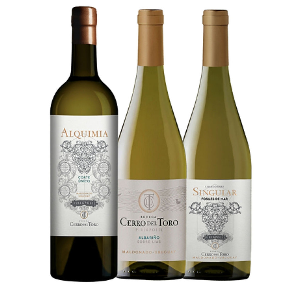 Melhor vinho branco do Uruguai e a expressão do Atlântico: Domno Wines ...