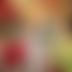 Vem Viver um Natal de Presentes! JK Shopping inaugura decoração natalina com atrações para encantar