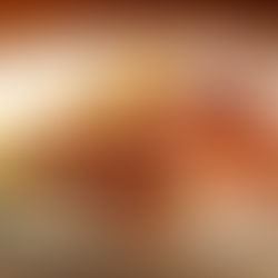 PRAÇA SÃO LOURENÇO - SP- DIVULGA MENU DO MAR 2023