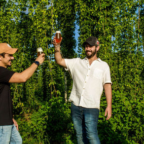 Cervejarias brasileiras trocam lúpulo europeu e norte-americano pelo nacional