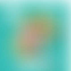 Pátio recebe Vila dos Pets nesta quinta