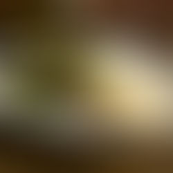 MAREMONTI DIVULGA CARDÁPIO PARA SETTIMANA ITALIANA 2022 ( SP)