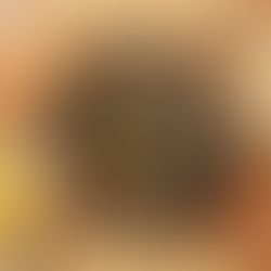 Suryaa anuncia seu novo All Day Brunch