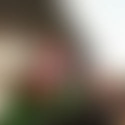 JK Shopping recebe Caravana da Coca-Cola para uma noite iluminada