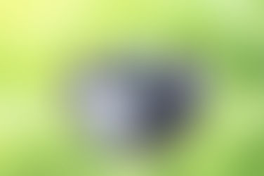 10 Free GIS Data Sources: Best Global Raster and Vector Datasets [2020]