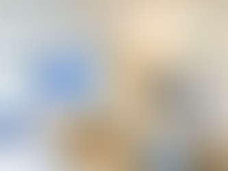 美松苑554呎｜三房北歐風格