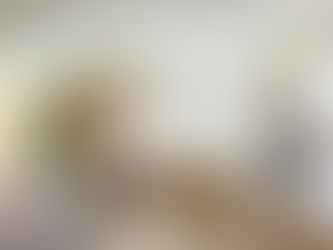 山麗苑292呎｜一房現代風格 