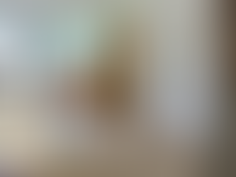 錦暉苑455呎｜兩房日式簡約