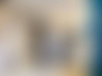 尚文苑295呎｜兩房現代簡約風格