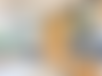 山麗苑376呎｜一房北歐簡約風格