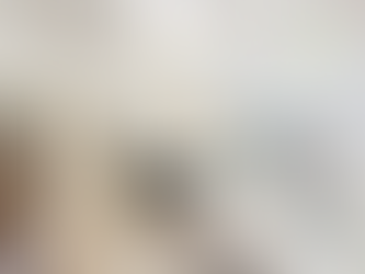 錦駿苑 448呎｜兩房現代風格