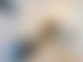 裕泰苑400呎｜兩房簡約摩登