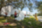 IMG_0099-Enhanced-NR