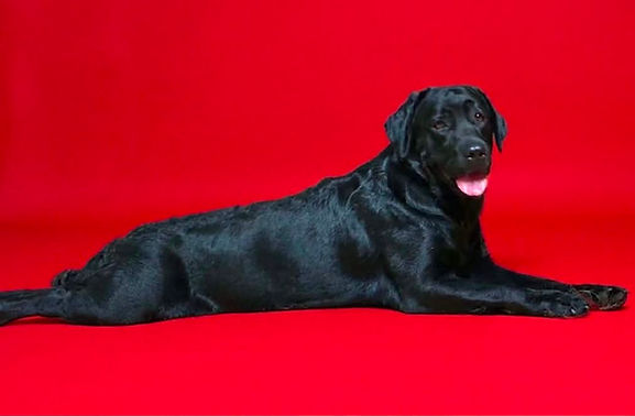 Mya red backgroung 08022026.jfif
