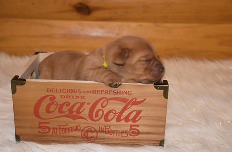 DSC_0655.JPG