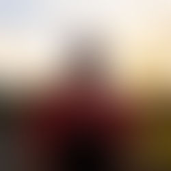 Q&A with Steel Cartwheel